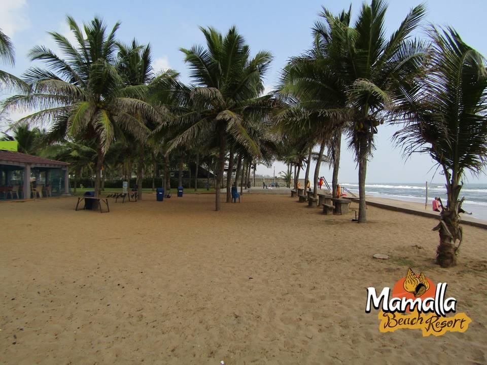Mamalla Beach Resort Mahabalipuram Extérieur photo